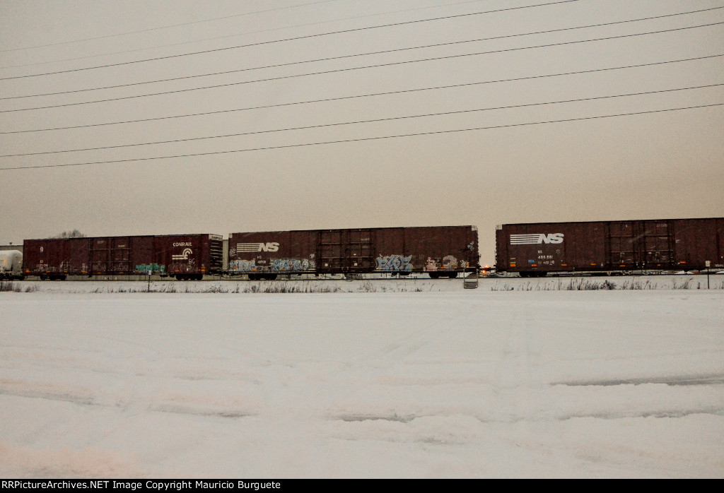 NS Box Cars in the yard